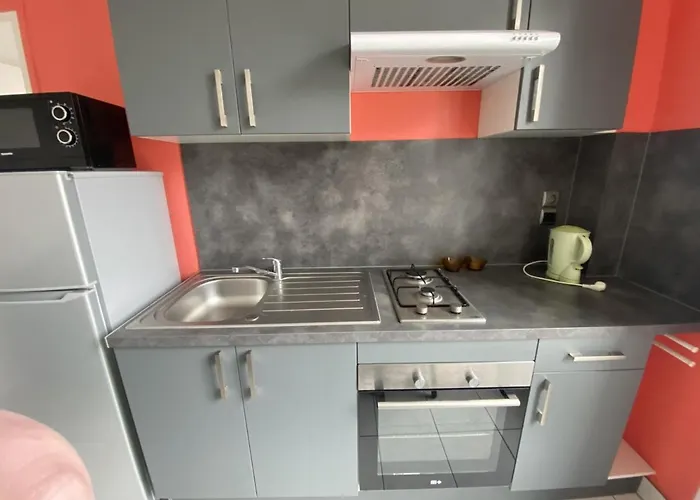 Apartamento T2 Centre-ville La Roche-posay, Proche Thermes, Wi-fi, Laverie - Fr-1-541-79 La Roche-Posay