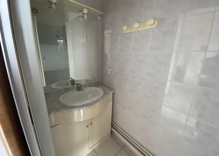 T2 Centre-ville La Roche-posay, Proche Thermes, Wi-fi, Laverie - Fr-1-541-79 Apartamento La Roche-Posay